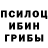 Конопля планчик Tristan Hicks