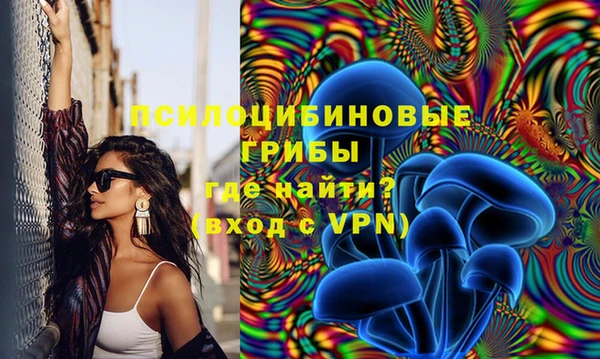 молекула духа Ростов