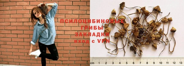 крисы Россошь