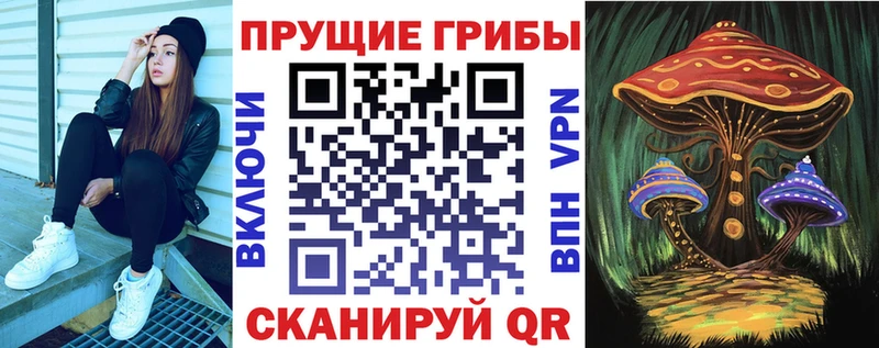 мега ONION  Новотроицк  Псилоцибиновые грибы GOLDEN TEACHER 