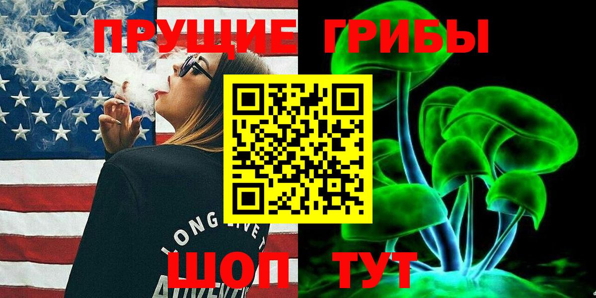 цены наркотик  Галлюциногенные грибы Psilocybe  Вход с VPN  Новотроицк 